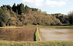 田植えを待つ