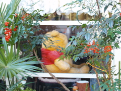 代々木八幡にてⅢ