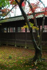 晩秋の古寺5