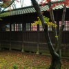晩秋の古寺5