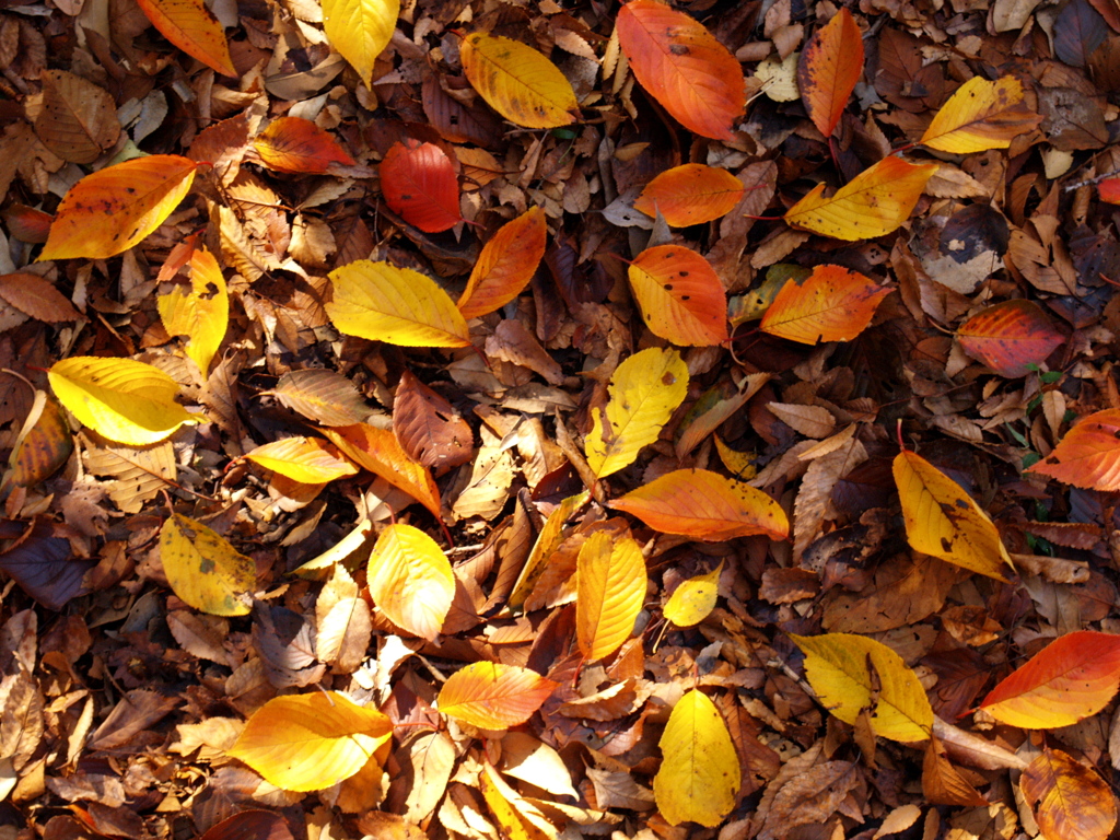 そして冬が来る…