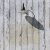 駅までの道すがら