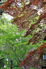 ちょっと軽井沢へ