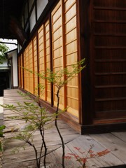 谷中・静寂