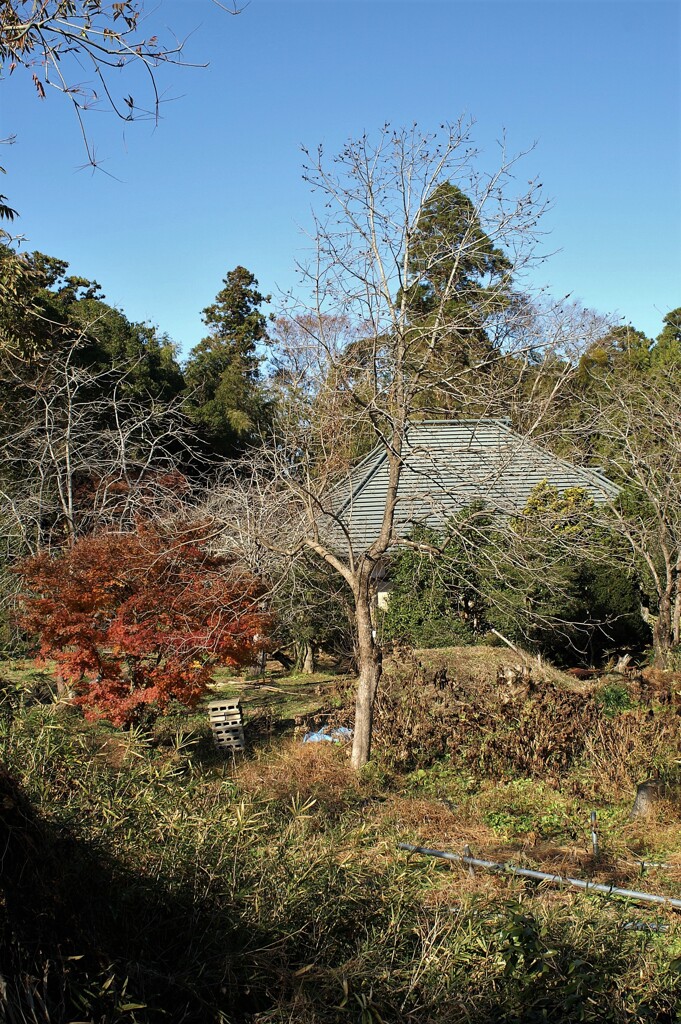 静かな年の瀬
