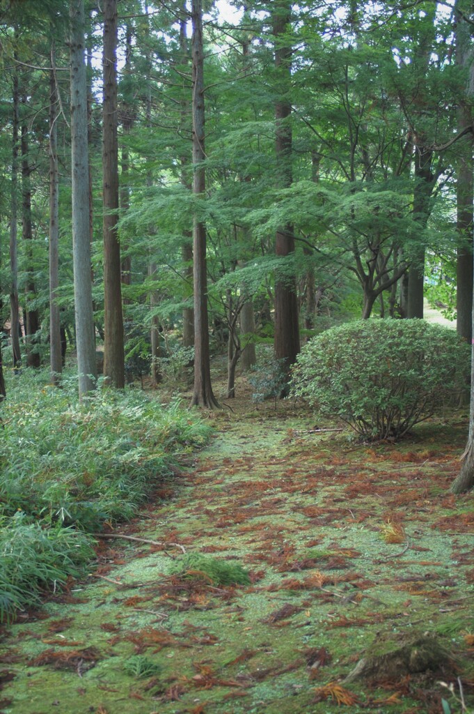 ふるさと村散歩
