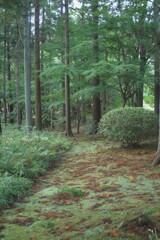 ふるさと村散歩