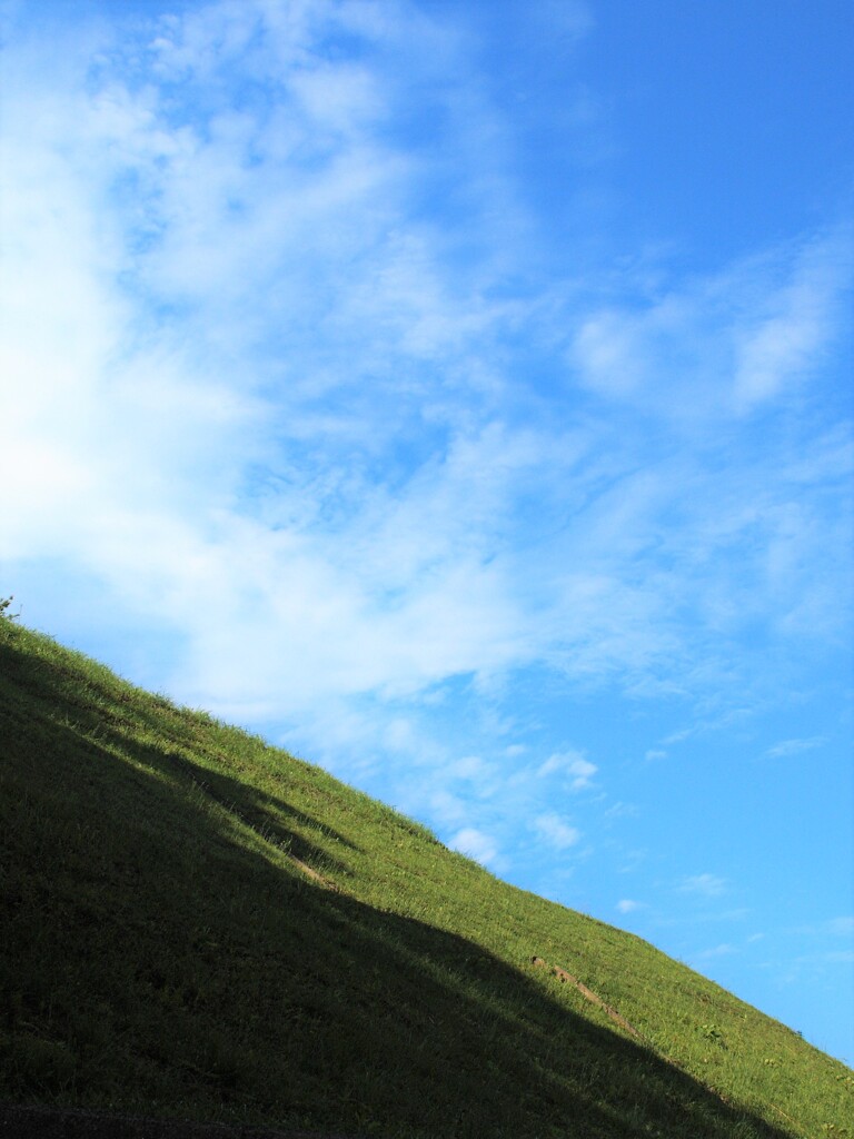 雨もひと休み