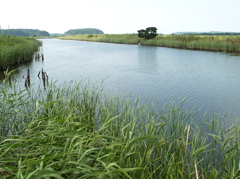 川面を渡る風