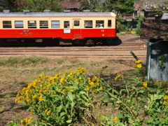 小湊鉄道小さな旅Ⅵ