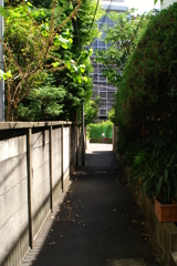 都心の路地