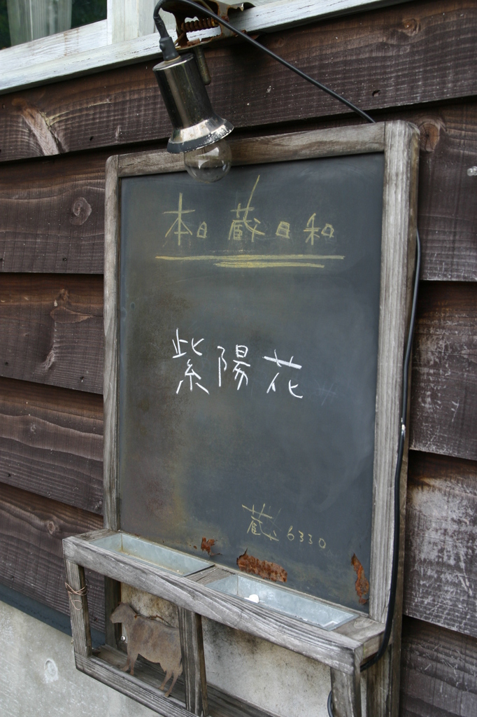 紫陽花日和