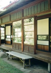 デミと街中散歩(フイルム)