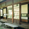デミと街中散歩(フイルム)