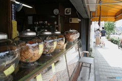 谷中・千駄木界隈5