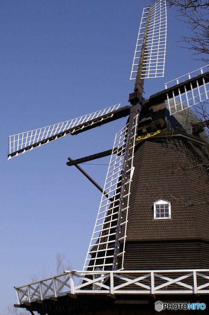 春風に誘われて2