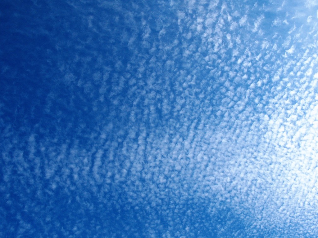 梅雨の晴れ間