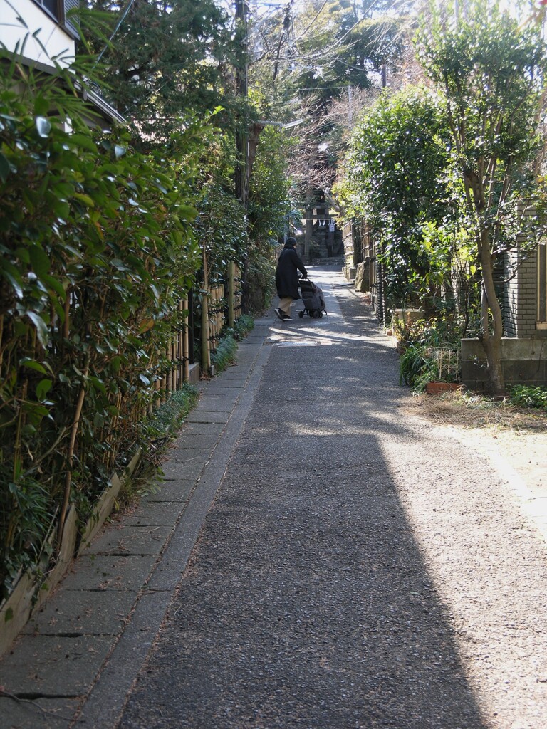 駅までの道すがら