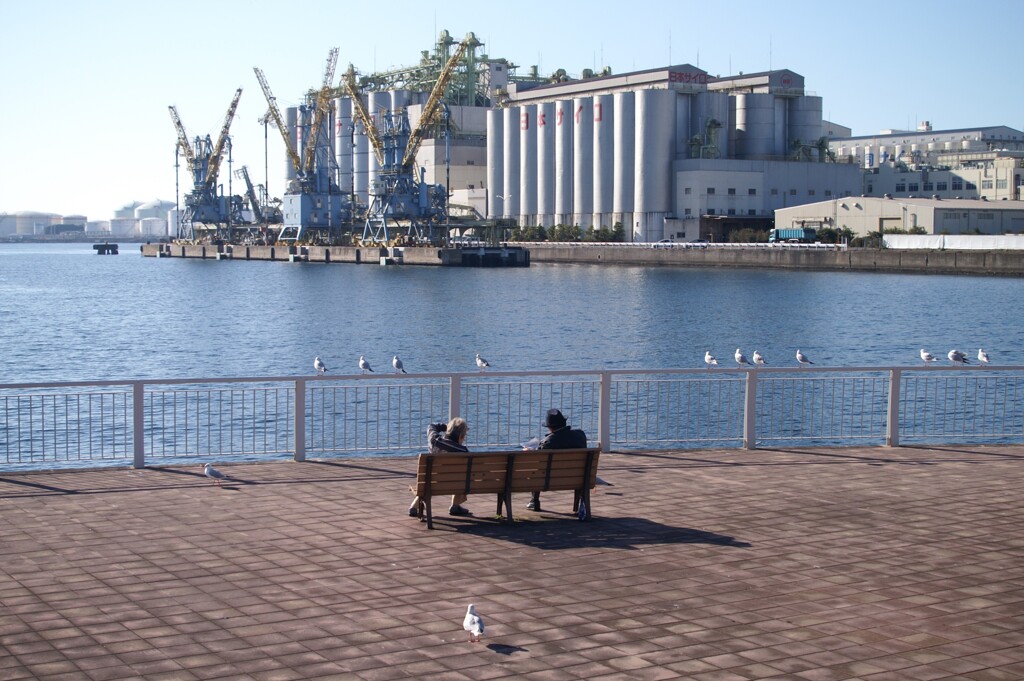 冬の海が見たくなって…