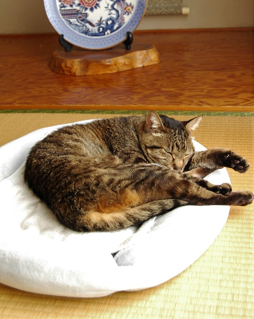 オレはここでスティホーム
