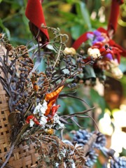 秋のプレゼント