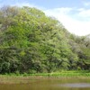 里山春景色