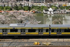 外堀の春