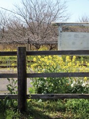 里見駅にて