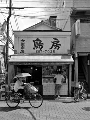 真夏日(過去写真)