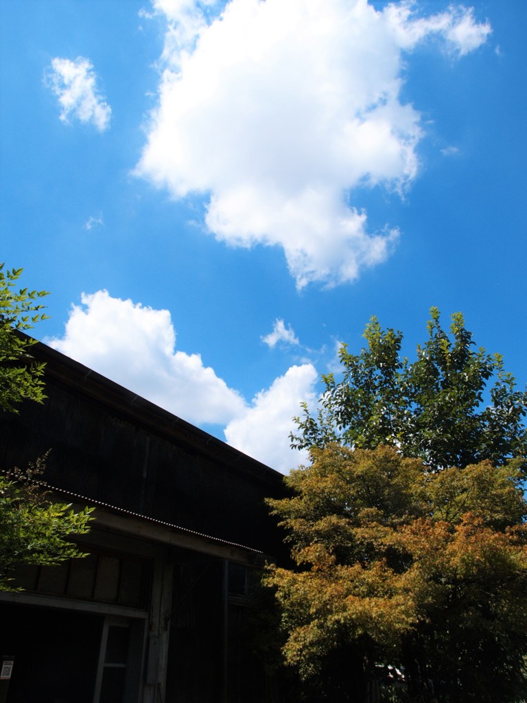 カフェの上の青空