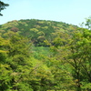 青葉の頃