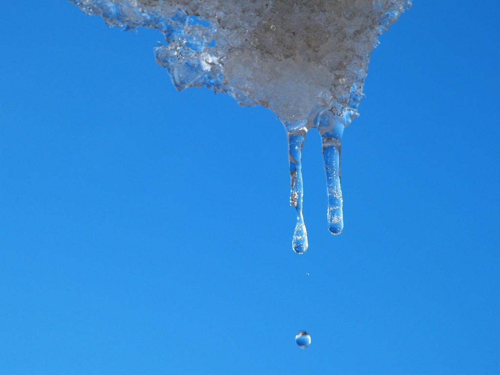 雪の降った翌朝に