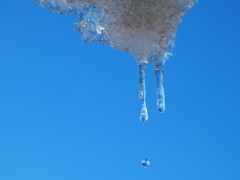 雪の降った翌朝に