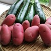菜園野菜