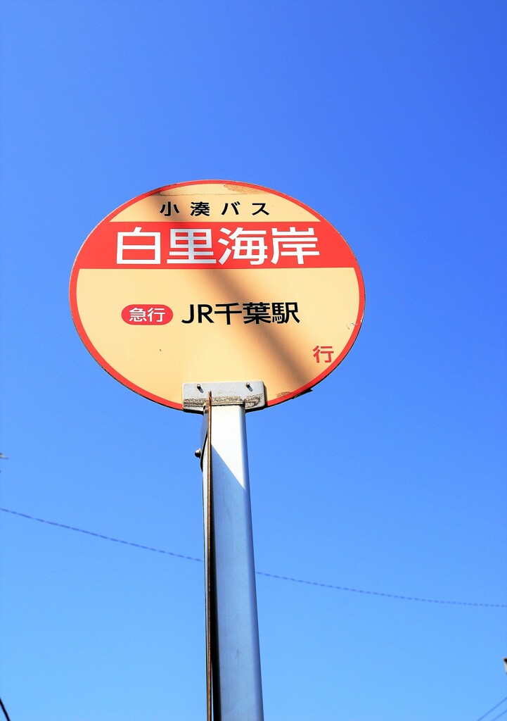 海岸通りのバス停