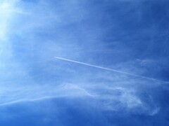 猛暑の空に