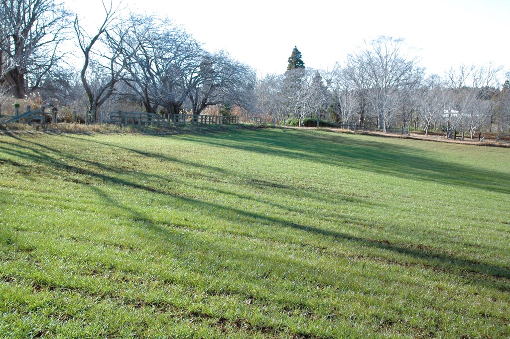 冬の秋元牧場