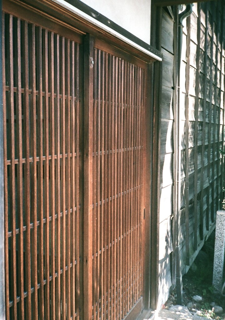 デミと街中散歩(フイルム)