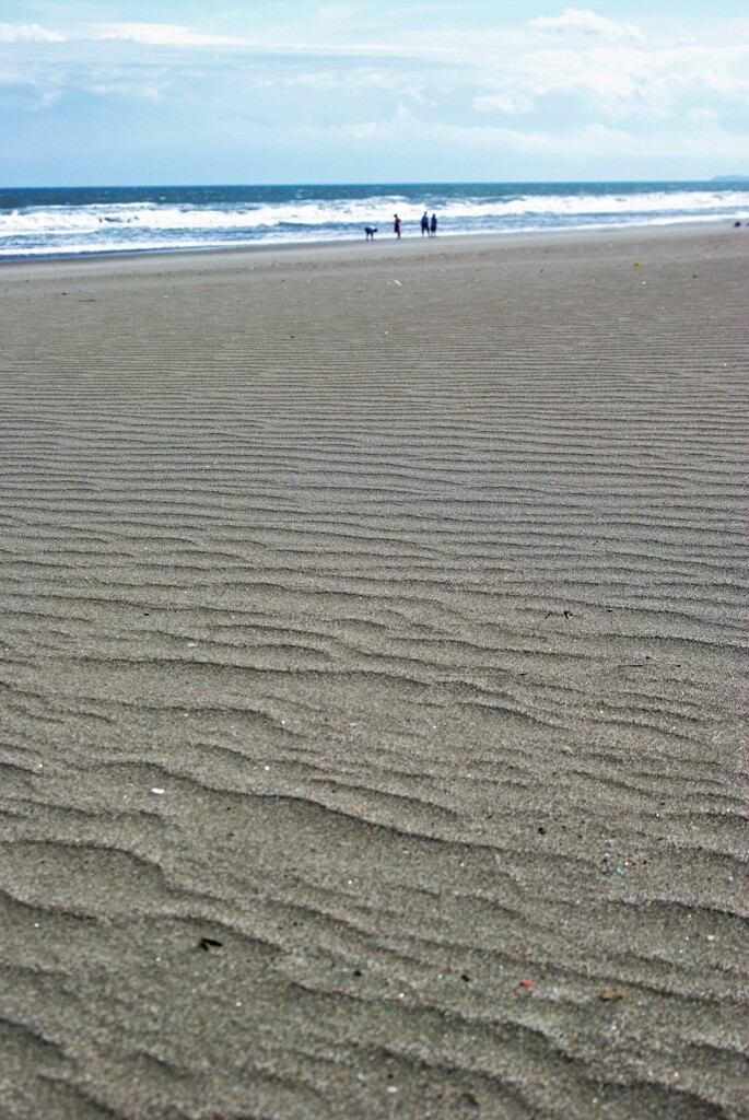 砂浜に立って