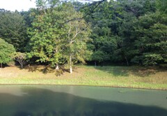 ワンちゃんとお散歩