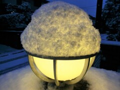 わたぼうし