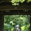水無月　本土寺Ⅲ