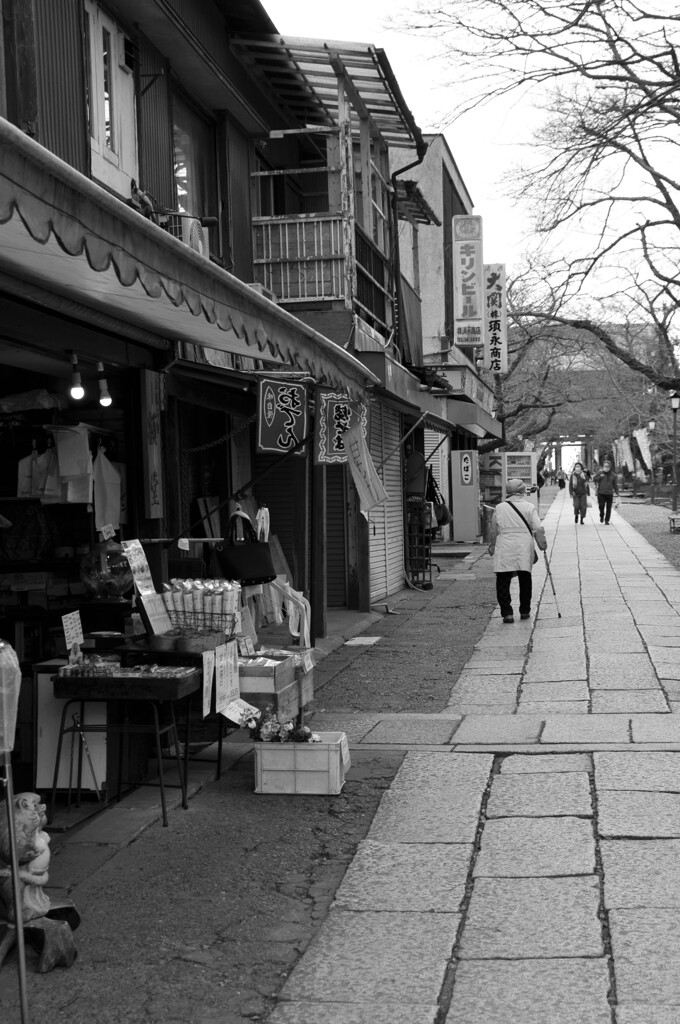 中山法華経寺参道
