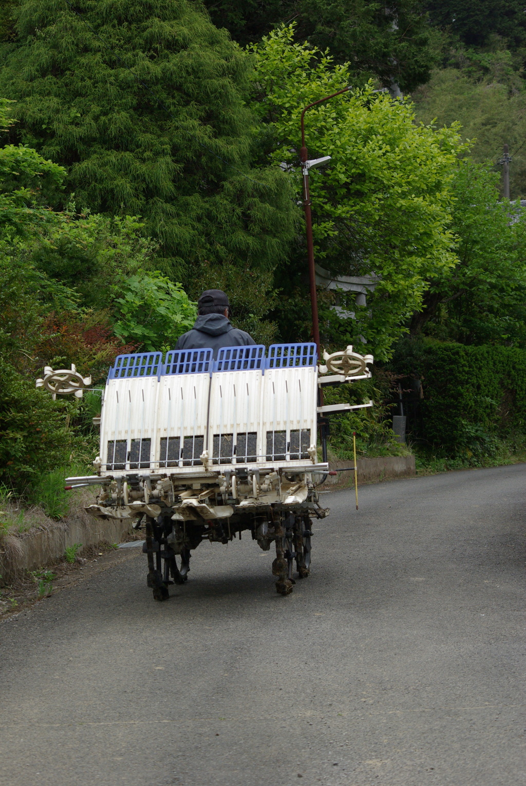 田植え帰りかな