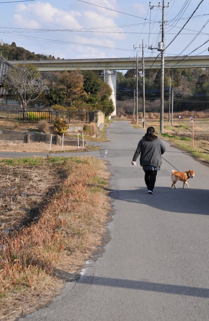 里山冬景色