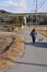 里山冬景色