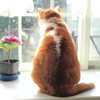 今年も終わりだニャ…