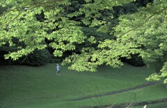 気分は避暑地だけど…