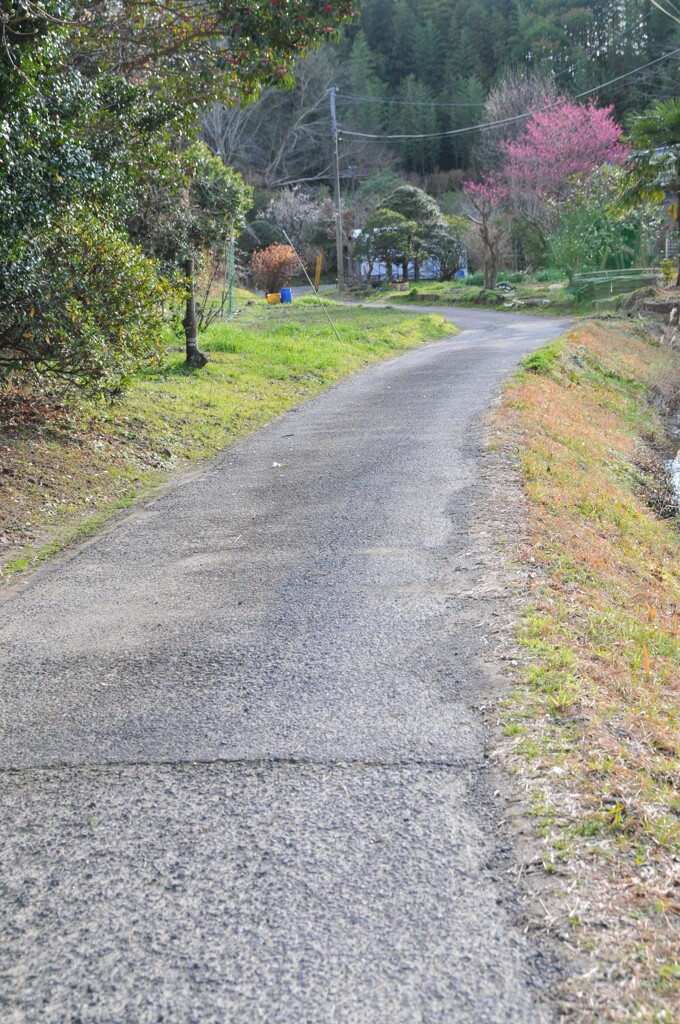 里山冬景色