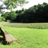 水辺のベンチ